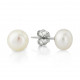 Orphelia® 'Joss' Women's Sterling Silver Stud Earrings - Silver ZO-7006/2